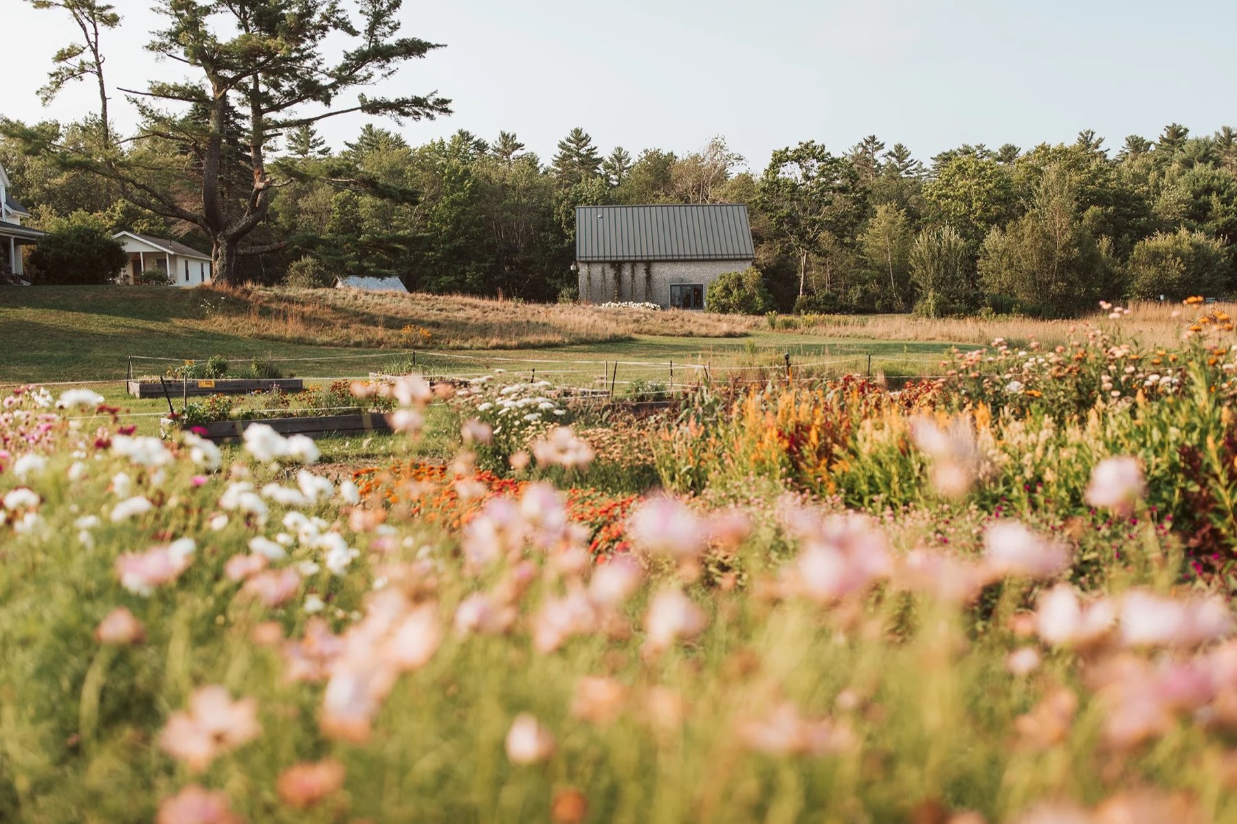 A wildflower field and garden beds at Wanderwood, with the stone barn at the tree line